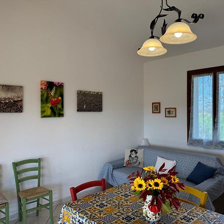Agriturismo I Debbi Bibbona Exteriér fotografie