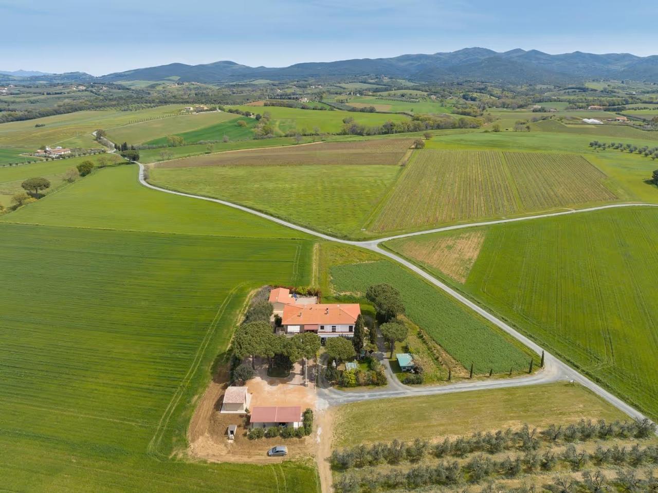 Agriturismo I Debbi Bibbona Exteriér fotografie