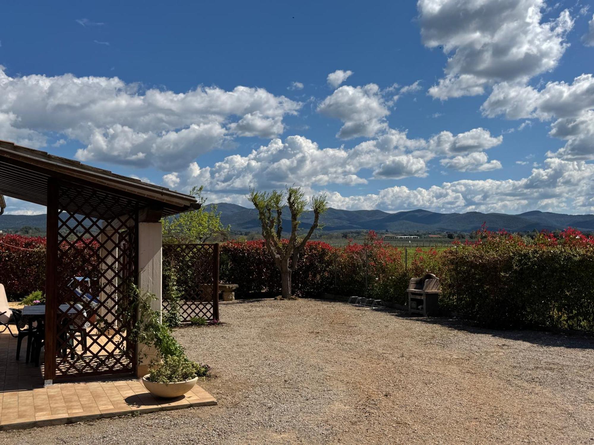Agriturismo I Debbi Bibbona Exteriér fotografie